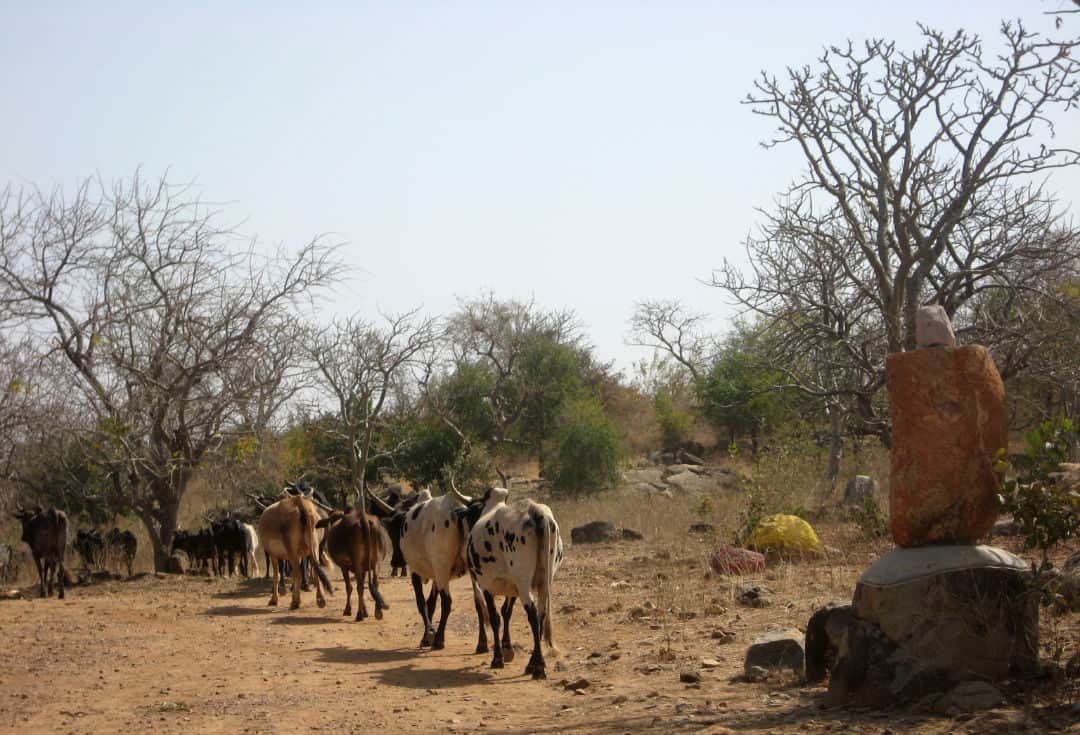 blaise compaore-rural areas landscape burkina faso 